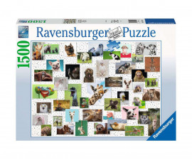 Ravensburger 16711 - Пъзел 1500 елемента - Забавни животни