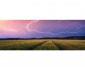 Ravensburger 17491 - Пъзел панорама 500 елемента - Гръмотевична буря thumb 2