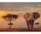 Ravensburger 80509 - Пъзел 500 елемента - Африкански слон thumb 2