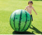 INTEX 58075NP - Watermelon Ball thumb 4