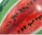 INTEX 58075NP - Watermelon Ball thumb 5