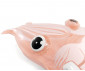 INTEX 58731EU - Cuttlefish Float thumb 7