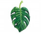 INTEX 58782EU - Palm Leaf Mat thumb 2