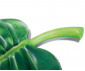 INTEX 58782EU - Palm Leaf Mat thumb 4