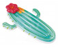 Плажни дюшеци Summer Collection INTEX 58793EU - Cactus Float thumb 5