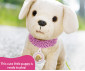 Zapf Creation 835869 - BABY Born® My Dog Lucky with Box thumb 8