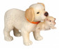 Чики петс - Куче с малко и коте с малко 812754 thumb 5