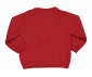 Детски пуловер Бирба 96604-56M, момче, 6-12 м. thumb 2