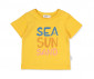 Детски дрешки марка Bebetto, серия Sea and Sun K4669Y - Комплект тениска с къс ръкав и къси панталоки, момче, 6-36 м., ръст: 74-98 см. thumb 3