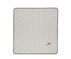 Детски дрешки Bebetto Baby Carrot B866 - Бебешко одеяло, момче, 0-1 г., 80х85 см., екрю