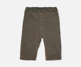 Детски дрешки Bebetto Cool Lion K5589K - Панталон кадифе, момче, 3-24 м.