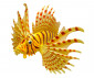 Детски 3D модел на Риба лъв Thames&Kosmos thumb 3