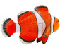 Детски 3D модел на Риба клоун Thames&Kosmos thumb 5